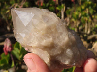 Natural Cascading Smokey Quartz Clusters x 6 From Luena, Congo - Toprock Gemstones and Minerals 