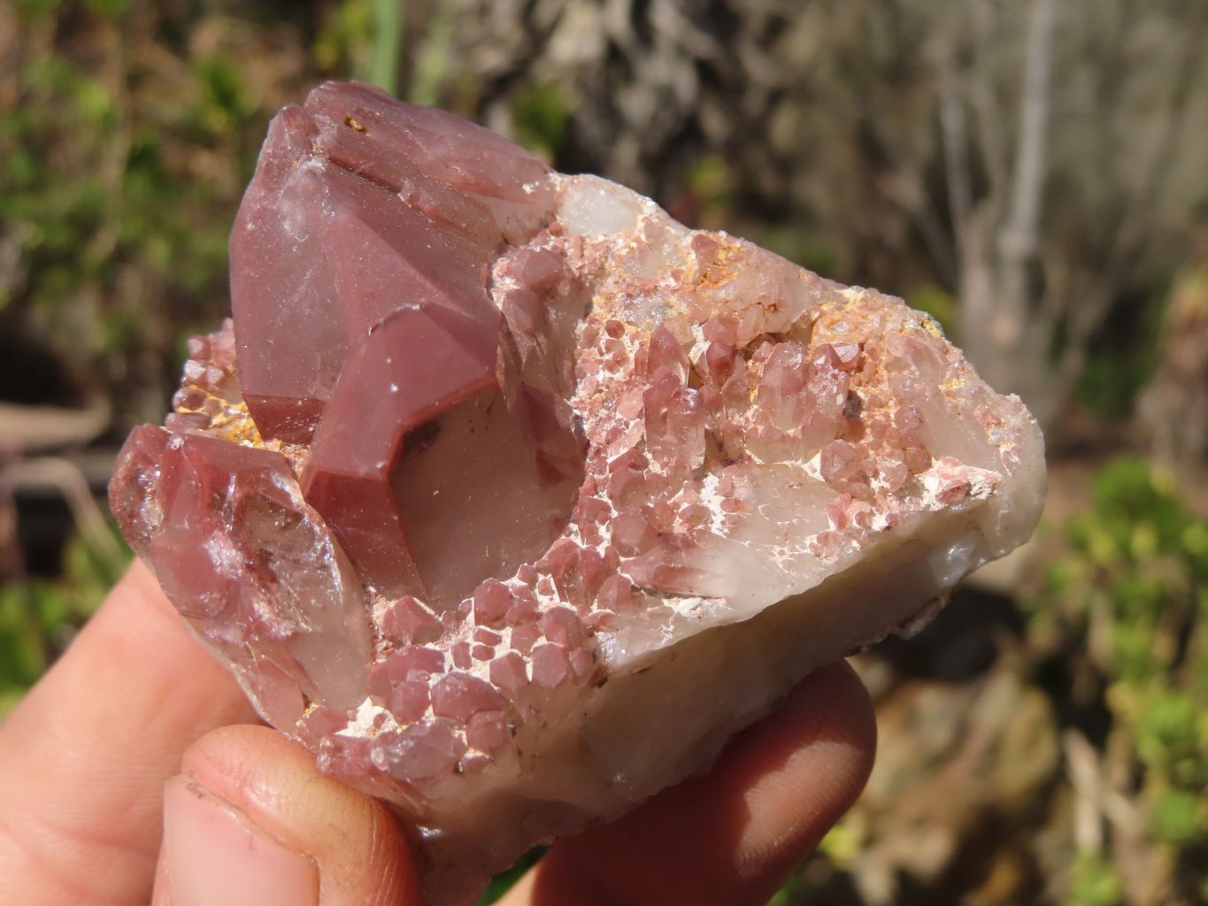 Natural Red Hematoid Quartz Specimens x 24 From Karoi, Zimbabwe - Toprock Gemstones and Minerals 