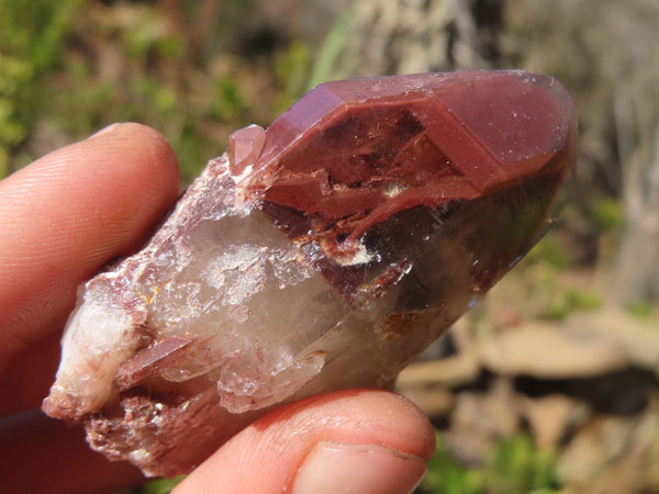 Natural Red Hematoid Quartz Specimens x 24 From Karoi, Zimbabwe - Toprock Gemstones and Minerals 