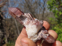 Natural Red Hematoid Quartz Specimens x 24 From Karoi, Zimbabwe - Toprock Gemstones and Minerals 