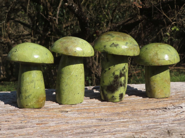 Polished Green Leopard Stone Mushroom Carvings  x 4 From Zimbabwe - TopRock