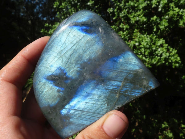 Polished Flashy Labradorite Standing Free Forms  x 6 From Madagascar - TopRock
