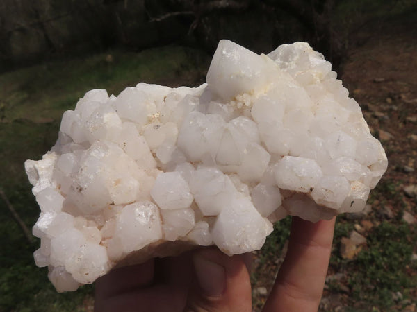 Natural Pineapple Candle Quartz Clusters  x 5 From Mandrosonoro, Madagascar - TopRock