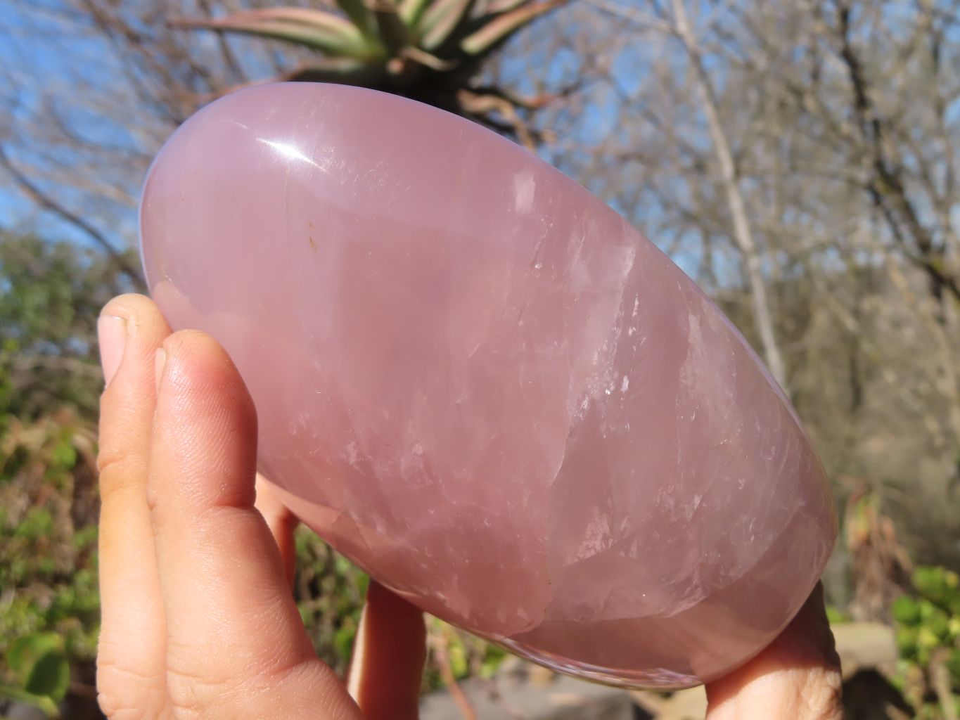 Polished Pink Rose Quartz Standing Free Forms x 2 From Antsirabe, Madagascar - Toprock Gemstones and Minerals 