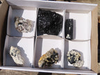 Natural Schorl Black Tourmaline Specimens x 6 From Erongo, Namibia - Toprock Gemstones and Minerals 