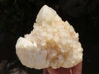 Natural White Phantom Candle Quartz Specimens  x 2 From Madagascar - TopRock