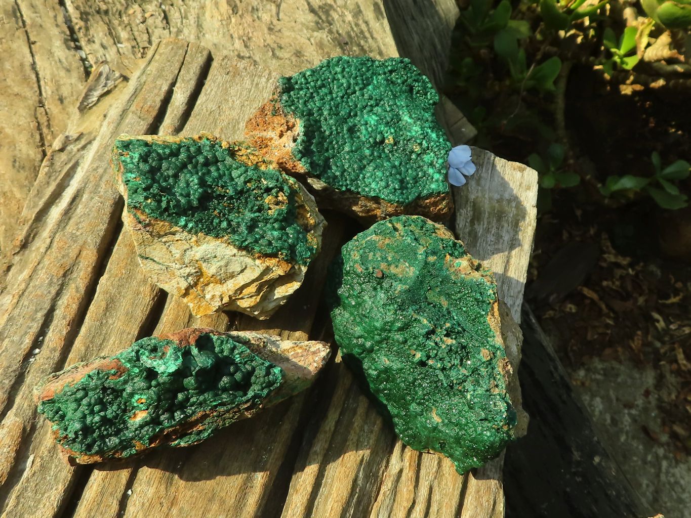 Natural Micro Botryoidal Crystalline Malachite Specimens  x 4 From Kolwezi, Congo - Toprock Gemstones and Minerals 