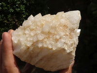Natural White Phantom Candle Quartz Specimens  x 2 From Madagascar - TopRock