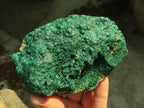 Natural Micro Botryoidal Crystalline Malachite Specimens  x 4 From Kolwezi, Congo - Toprock Gemstones and Minerals 