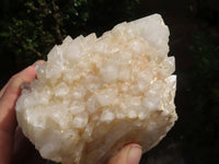 Natural White Phantom Candle Quartz Specimens  x 2 From Madagascar - TopRock