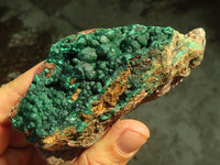 Natural Micro Botryoidal Crystalline Malachite Specimens  x 4 From Kolwezi, Congo - Toprock Gemstones and Minerals 