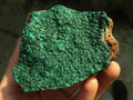Natural Micro Botryoidal Crystalline Malachite Specimens  x 4 From Kolwezi, Congo - Toprock Gemstones and Minerals 