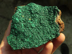 Natural Micro Botryoidal Crystalline Malachite Specimens  x 4 From Kolwezi, Congo - Toprock Gemstones and Minerals 