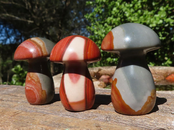 Polished Highly Selected Polychrome Jasper Mushroom Carvings  x 20 From Madagascar - Toprock Gemstones and Minerals 