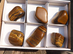 Polished Golden Tigers Eye Free Forms x 6 From Prieska, Northern Cape - Toprock Gemstones and Minerals 