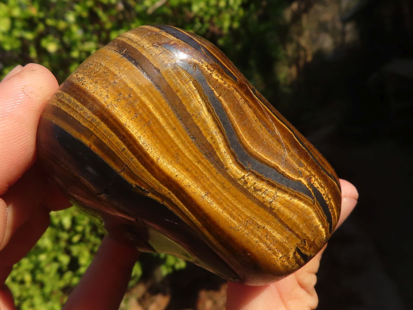 Polished Golden Tigers Eye Free Forms x 6 From Prieska, Northern Cape - Toprock Gemstones and Minerals 