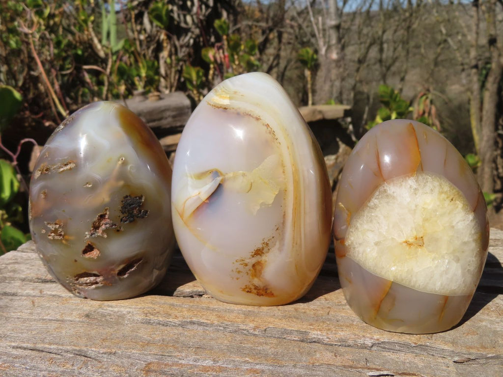 Polished Agate Standing Free Forms x 3 From Madagascar - Toprock Gemstones and Minerals 