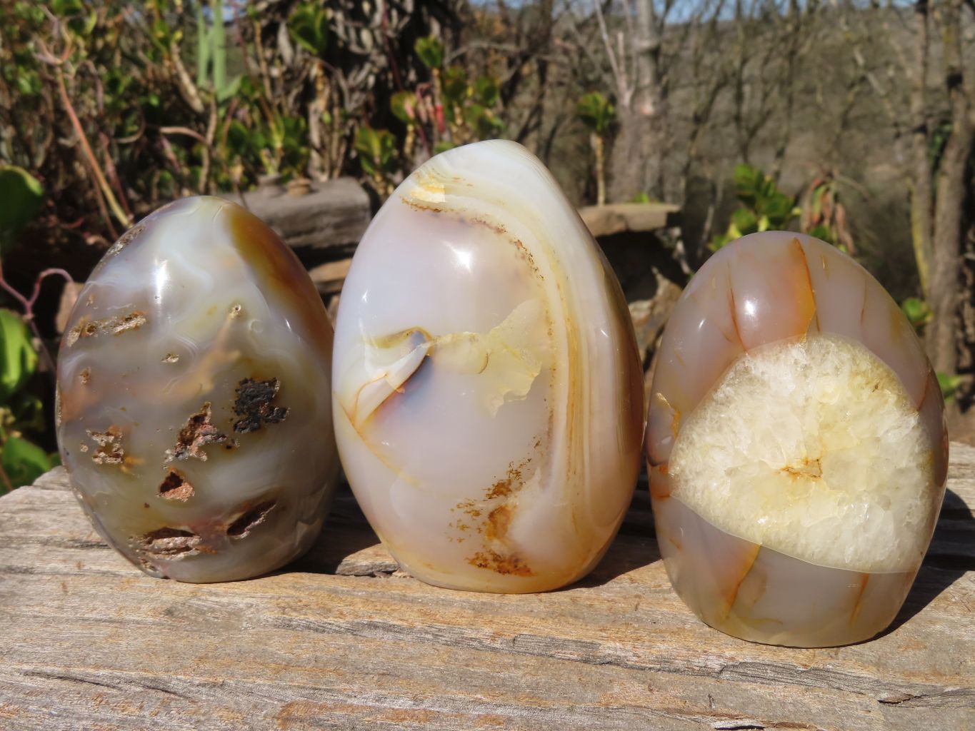 Polished Agate Standing Free Forms x 3 From Madagascar - Toprock Gemstones and Minerals 