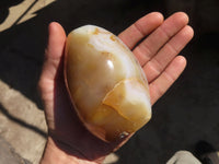 Polished Agate Standing Free Forms x 3 From Madagascar - Toprock Gemstones and Minerals 