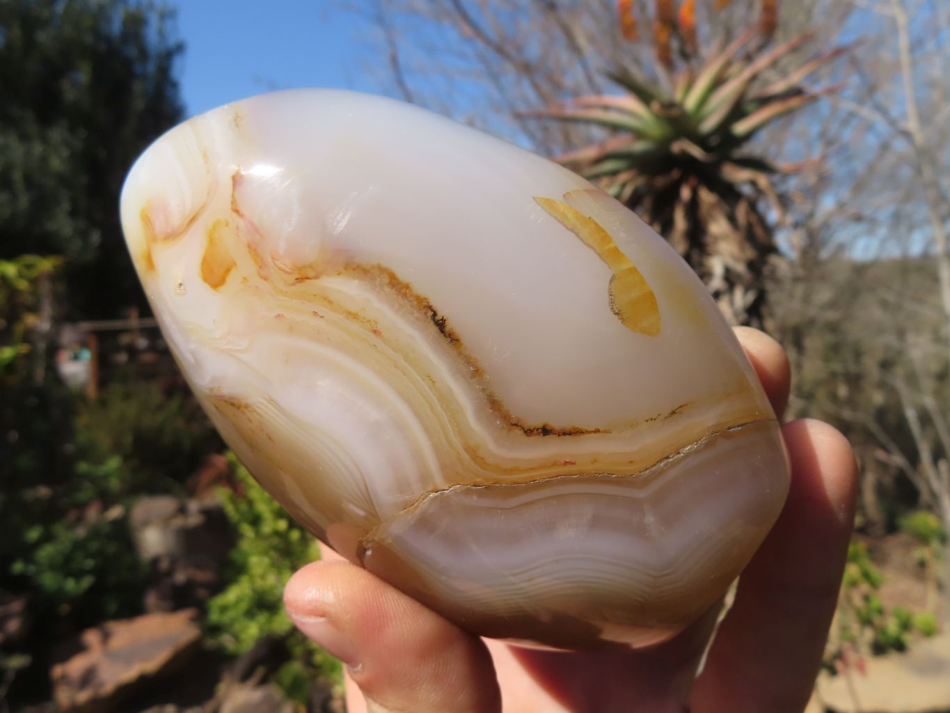 Polished Agate Standing Free Forms x 3 From Madagascar - Toprock Gemstones and Minerals 