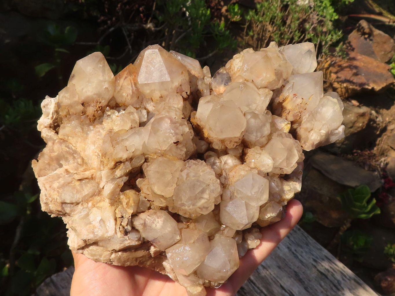 Natural Cascading White Phantom Smokey Quartz Cluster x 1 From Luena, Congo - Toprock Gemstones and Minerals 