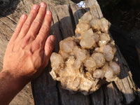 Natural Cascading White Phantom Smokey Quartz Cluster x 1 From Luena, Congo - Toprock Gemstones and Minerals 