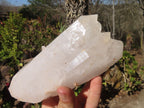 Natural Clear Quartz Crystal Specimens x 3 From Zambia - Toprock Gemstones and Minerals 