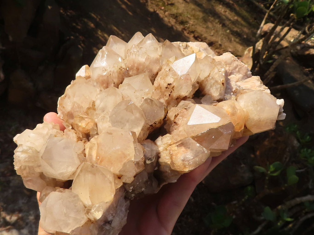 Natural Cascading White Phantom Smokey Quartz Cluster x 1 From Luena, Congo - Toprock Gemstones and Minerals 