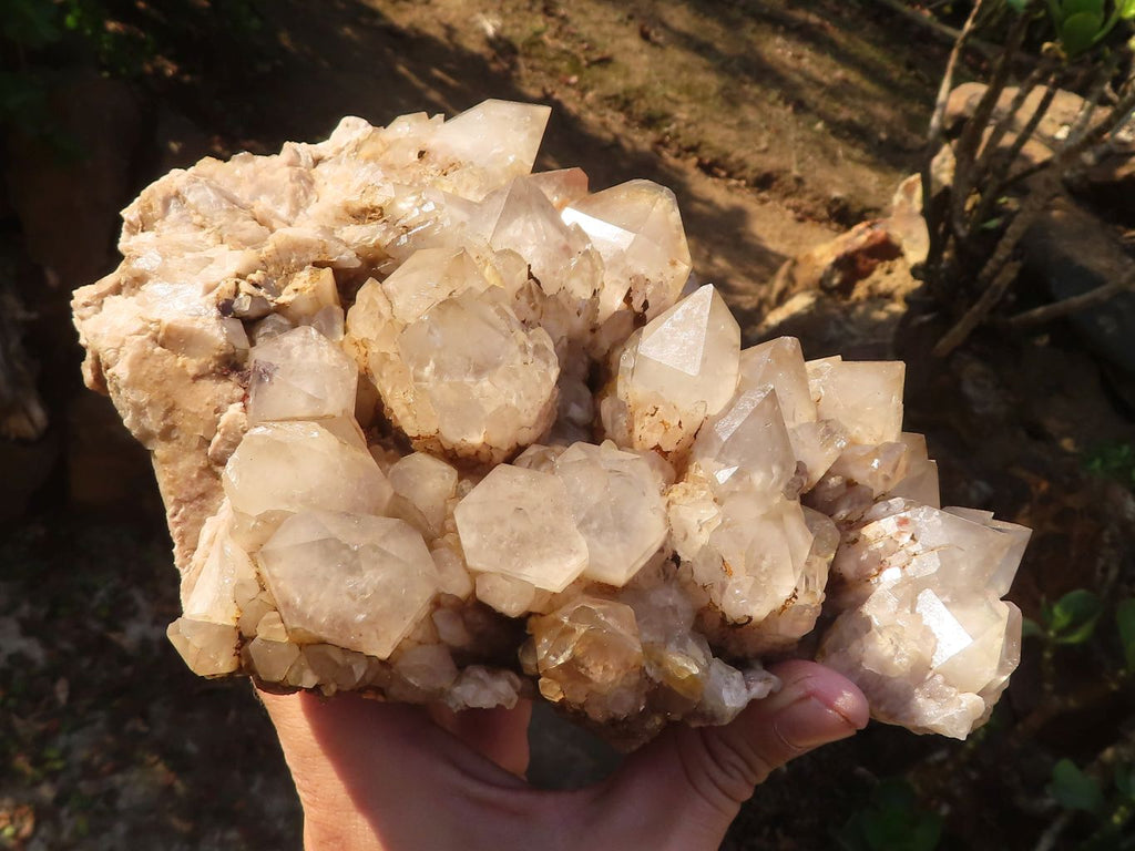 Natural Cascading White Phantom Smokey Quartz Cluster x 1 From Luena, Congo - Toprock Gemstones and Minerals 