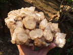 Natural Cascading White Phantom Smokey Quartz Cluster x 1 From Luena, Congo - Toprock Gemstones and Minerals 