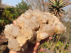 Natural Cascading White Phantom Smokey Quartz Cluster x 1 From Luena, Congo - Toprock Gemstones and Minerals 