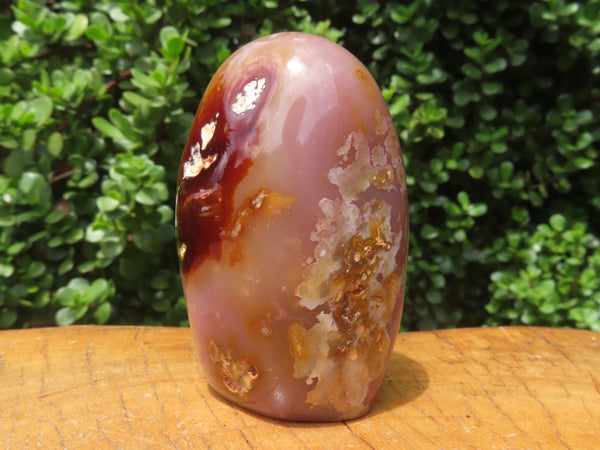 Polished Coral Flower Agate Standing Free Forms x 6 From Madagascar - TopRock