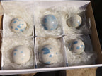 Polished Blue Spotted Spinel Quartz Spheres x 6 From Madagascar - Toprock Gemstones and Minerals 