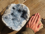 Natural Blue Celestite Geode Specimen x 1 From Sakoany, Madagascar - Toprock Gemstones and Minerals 