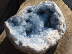 Natural Blue Celestite Geode Specimen x 1 From Sakoany, Madagascar - Toprock Gemstones and Minerals 