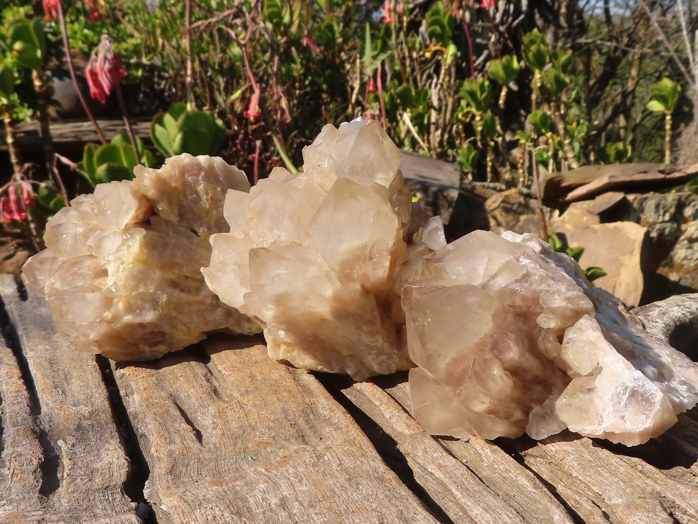 Natural Cascading Smokey Quartz Clusters x 3 From Luena, Congo - Toprock Gemstones and Minerals 