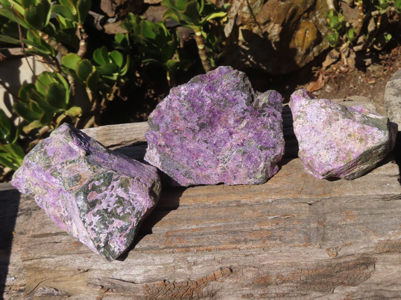 Natural Rough Stichtite & Serpentine Specimens x 3 From Barberton, South Africa - Toprock Gemstones and Minerals 
