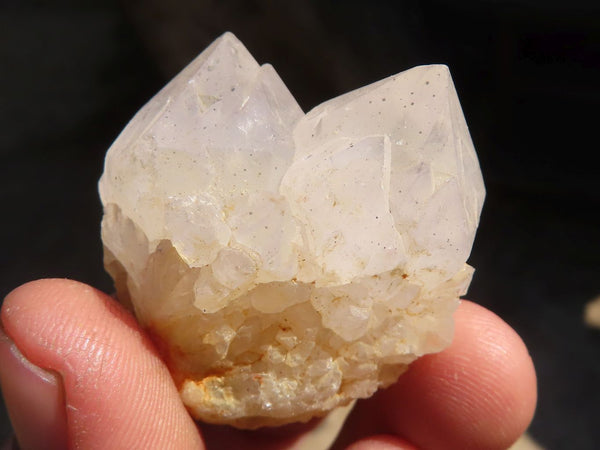 Natural White Cactus Flower Spirit Quartz Specimens x 35 From Boekenhouthoek, South Africa - Toprock Gemstones and Minerals 