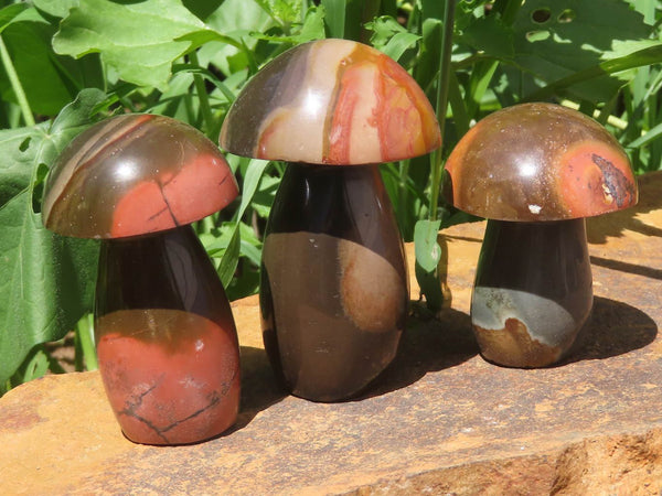 Polished Polychrome / Picasso Jasper Mushrooms & Palm Stones  x 12 From Madagascar - TopRock