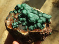 Natural Rare Ball Malachite On Drusy Quartz & Dolomite Specimens x 2 From Kambove, Congo - Toprock Gemstones and Minerals 