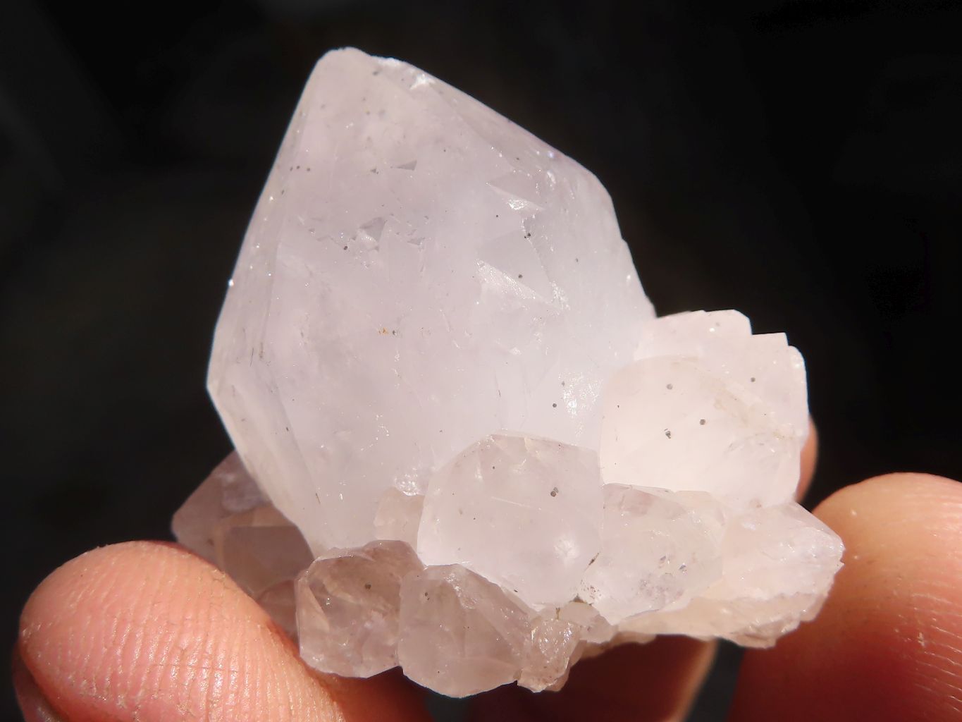 Natural White Cactus Flower Spirit Quartz Specimens x 35 From Boekenhouthoek, South Africa - Toprock Gemstones and Minerals 