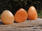 Polished Vibrant Orange Twist Calcite Standing Free Forms  x 3 From Madagascar - TopRock