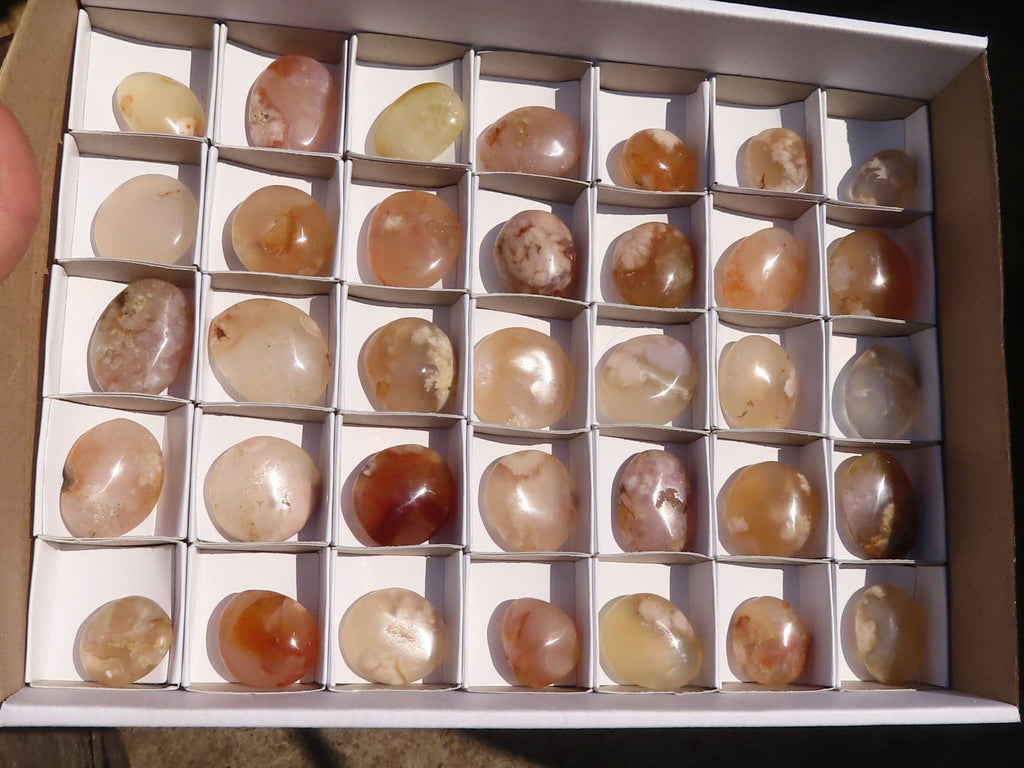 Polished  Mini Ocean  Flower Agate Palm Stones  x 35 From Madagascar - Toprock Gemstones and Minerals 