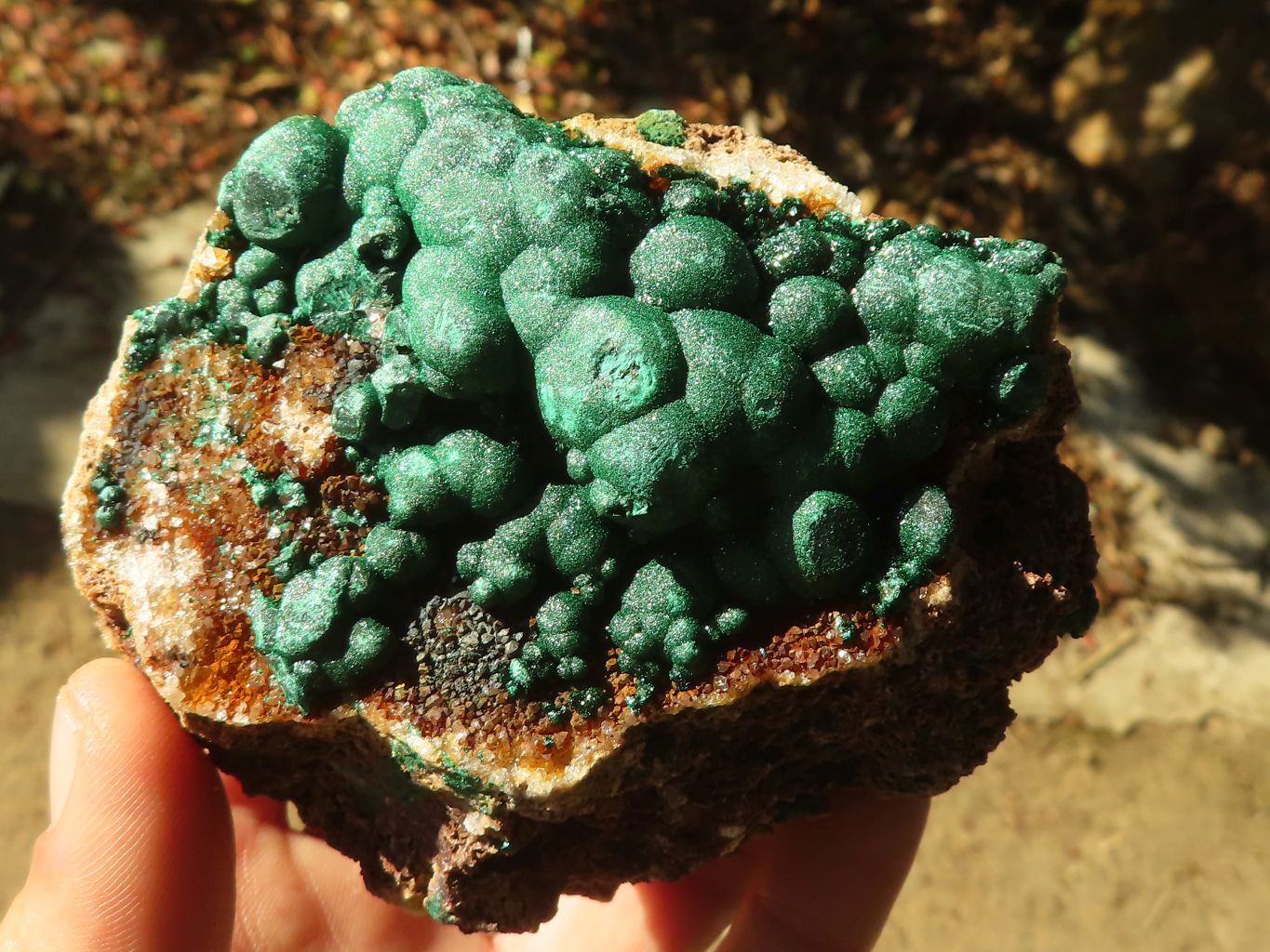 Natural Rare Ball Malachite On Drusy Quartz & Dolomite Specimens x 2 From Kambove, Congo - Toprock Gemstones and Minerals 