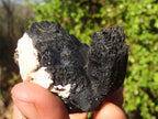 Natural Schorl Black Tourmaline Specimens  x 12 From Erongo, Namibia - Toprock Gemstones and Minerals 