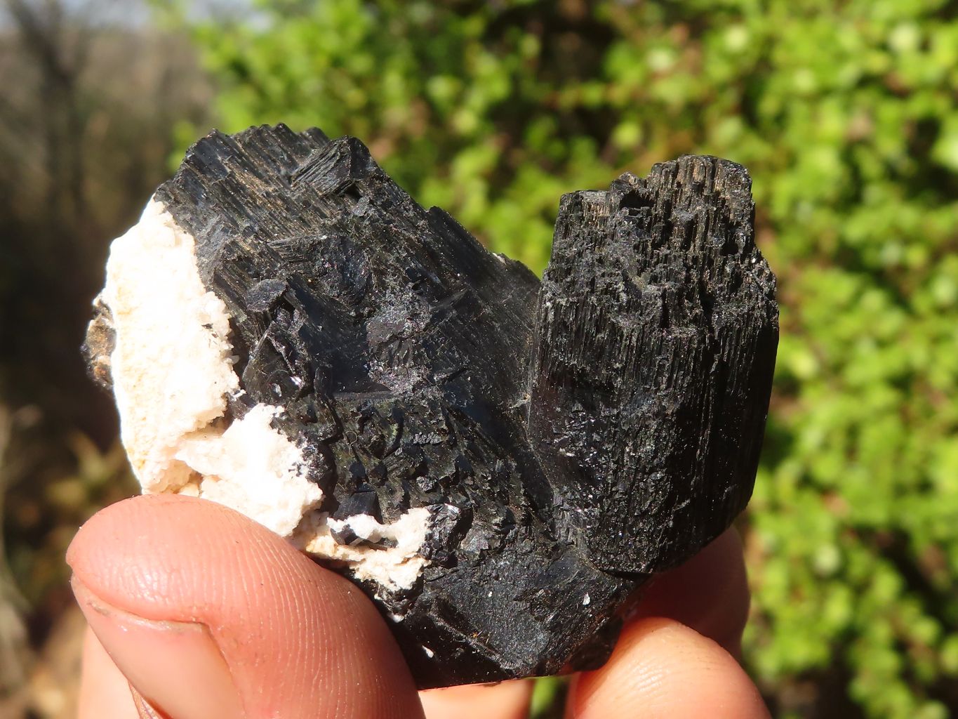 Natural Schorl Black Tourmaline Specimens  x 12 From Erongo, Namibia - Toprock Gemstones and Minerals 