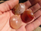 Polished  Mini Ocean  Flower Agate Palm Stones  x 35 From Madagascar - Toprock Gemstones and Minerals 