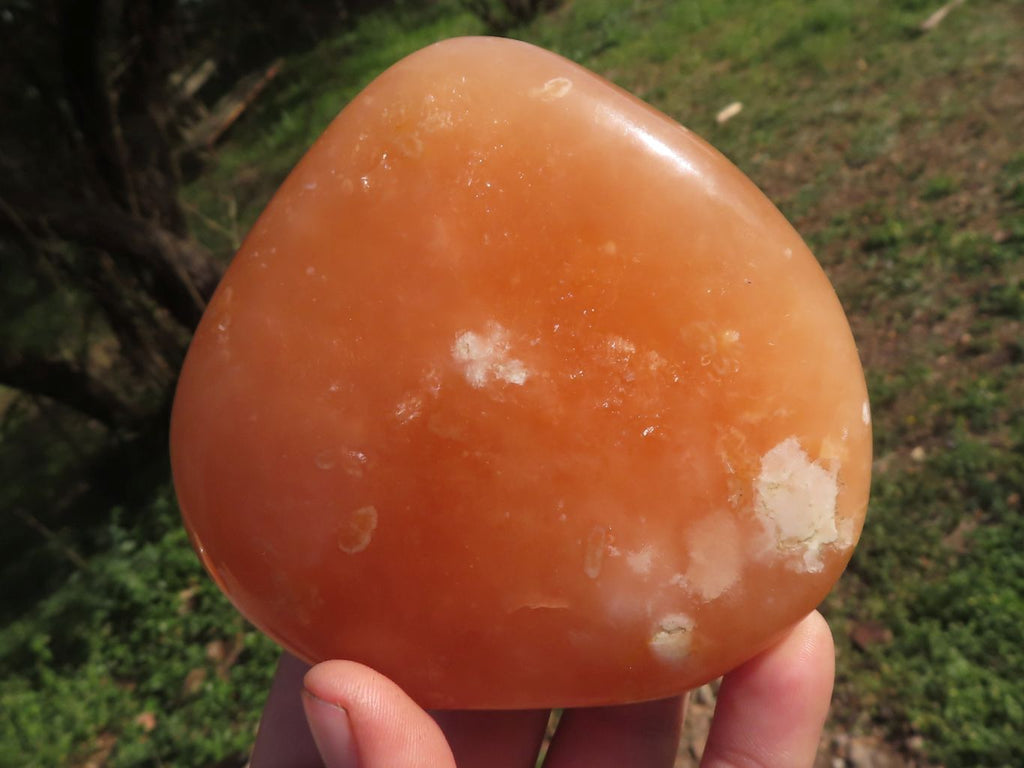 Polished Vibrant Orange Twist Calcite Standing Free Forms  x 3 From Madagascar - TopRock