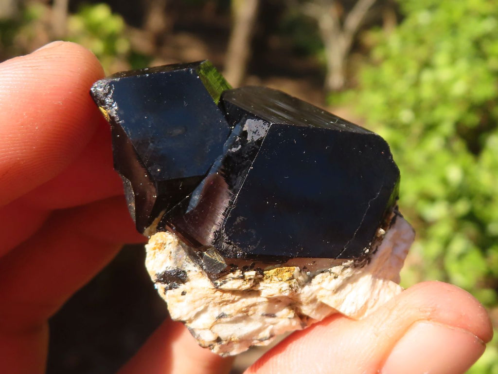 Natural Schorl Black Tourmaline Specimens  x 12 From Erongo, Namibia - Toprock Gemstones and Minerals 