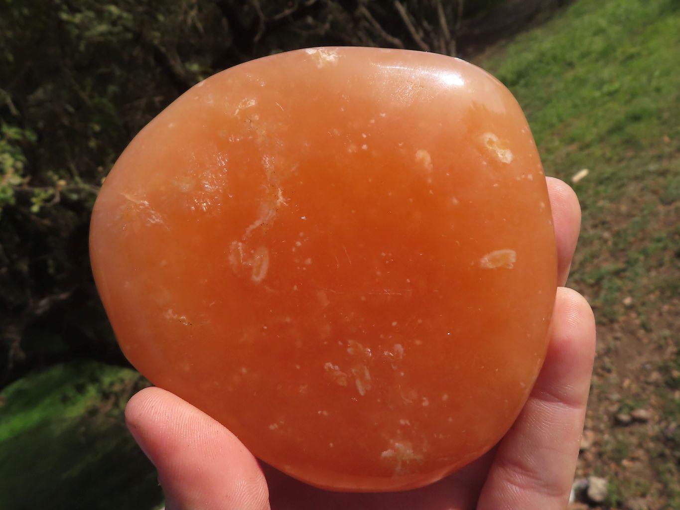 Polished Vibrant Orange Twist Calcite Standing Free Forms  x 3 From Madagascar - TopRock